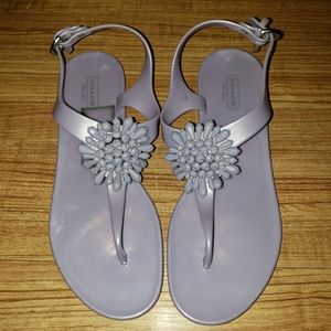 Coach- Lavender Hilda Jelly Sandals